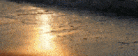 shoreline waves